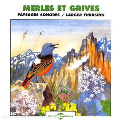 The Sounds Of Nature: Larger Thrushes - CD