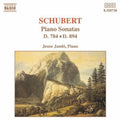 Jen  Jand: Piano Sonatas 784 & 894 - CD