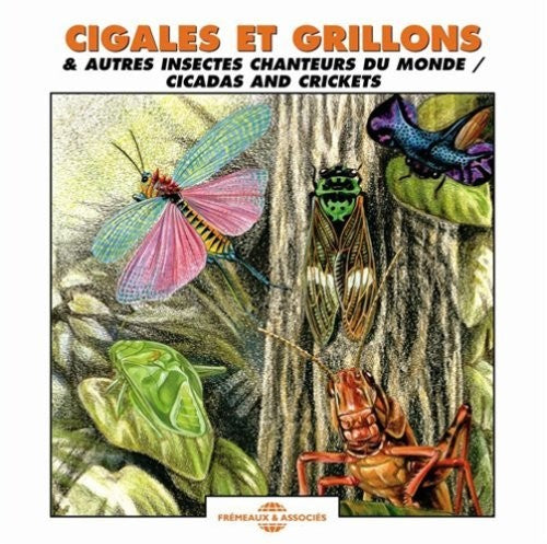 The Sounds Of Nature: Cicadas and Crickets - CD