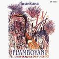 Awankana: Flamboyan-River of the Stars - CD