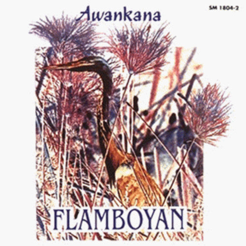 Awankana: Flamboyan-River of the Stars - CD