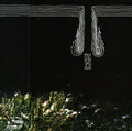 Envy/Jesu: Split - CD