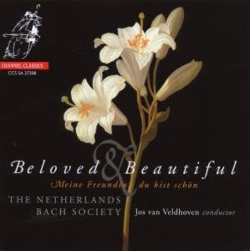 Netherlands Bach Society: Beloved & Beautiful - SUPER-AUDIO CD