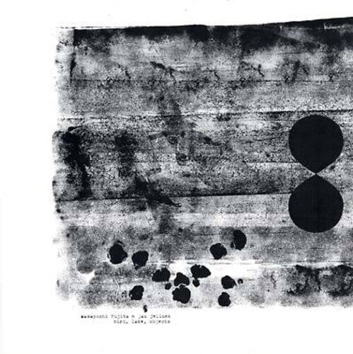Masayoshi Fujita & Jan Jelinek: Bird Lake Objects - (VINYL LP)