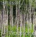 Numinous: Vipassana - CD
