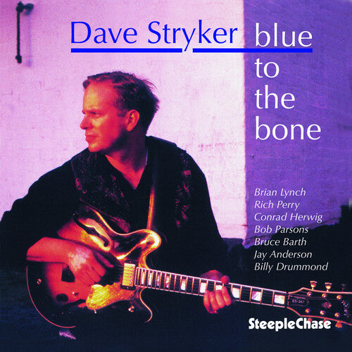 Dave Stryker: Blue to the Bone - CD
