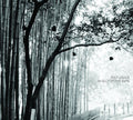 Rolf Julius: Music For Ears - CD