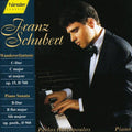 F. Schubert: Wanderer Fantasy in C Major / Piano Sonata D 960 - CD