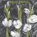Mecca Normal: Mecca Normal - CD