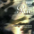 Tampere Philharmonic Orchestra / Ollila: Works for Orchestra - COMPACT DISCS