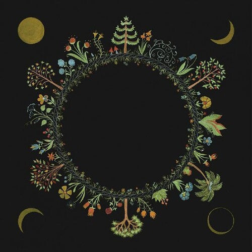Laura Stevenson: Wheel - CD
