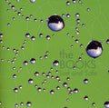 The Books: Lost and Safe - CD