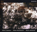 We3: Amazing - COMPACT DISCS