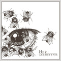 Hog: Archetypes - CD