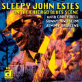 Sleepy John Estes: Brownsville Blues - CD