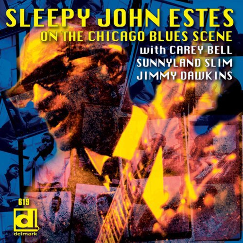 Sleepy John Estes: Brownsville Blues - CD