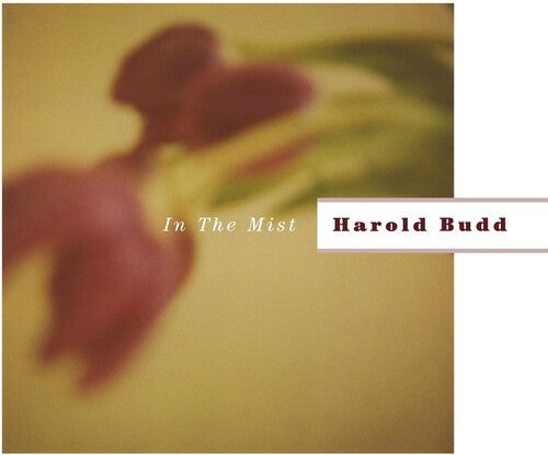Harold Budd: In the Mist - (VINYL LP)