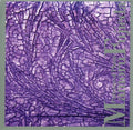 Mamoru Fujieda: Patterns of Plants - CD