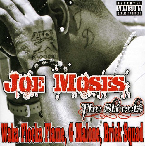 Joe Moses: From Nothing to Something: The Streets - CD