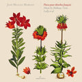 Pieces Pour Theorbes Francais: Pieces Pour Theorbes Francais - CD
