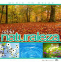 Alex Antonelli: Sabia Naturaleza - CD