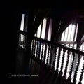 Dead Forest Index: Antique - CD