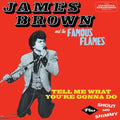 James Brown & the Famous Flames: Tell Me What You're Gonna Do / Shout & Shimmy - CD