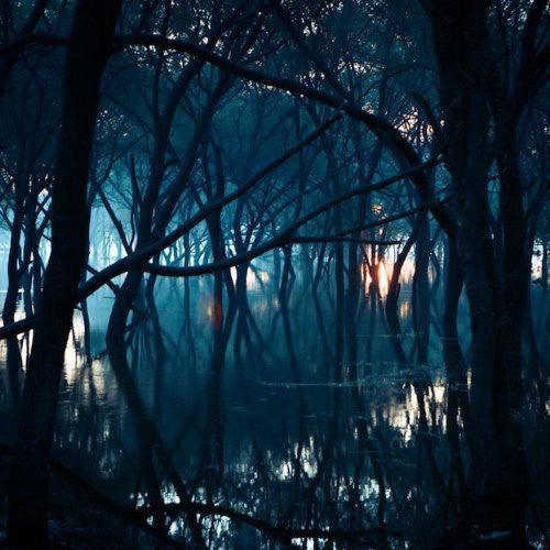 Oneirogen: Kiasma - (VINYL LP)