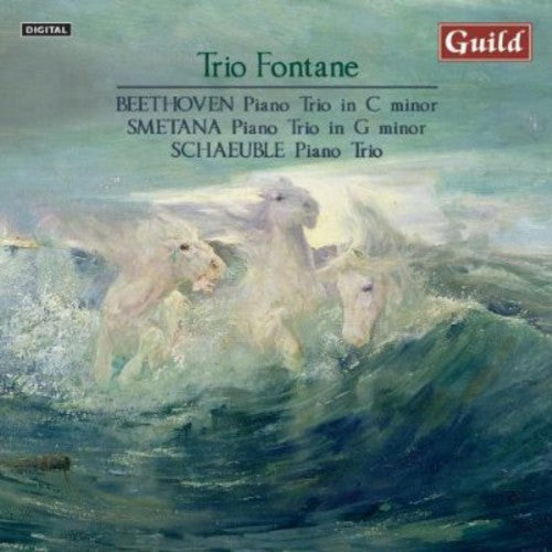Trio Fontane: Piano Trio in C minor Op 1 - CD