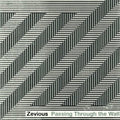Zevious: Passing Through the Wall - CD