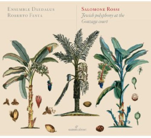 Rossi: Jewish Polyphony at the Gonzaga Court - CD
