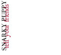 Snarky Puppy: Tell Your Friends - CD