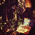 Happy Family: Minimal Gods - CD