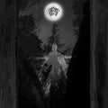 Taatsi: Amidst the Trees - CD