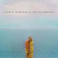 Andrew McMahon: Andrew McMahon in the Wilderness - CD