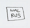 Walrus: 2nd Single - COMPACT DISCS
