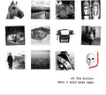 At the Hollow: What I Hold Most Dear - CD