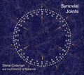 Steve Coleman & the Council of Balanc: Synovial Joints - CD