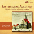Telemann / L'Arpa Festante / Voskuilen / Winter: Telemann Heinichen & Graupner in Leipzig - CD