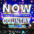 Various Artists: Now That's What I Call Country 8 / Various - CD