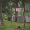 Creeping Pink: Mirror Woods -LP