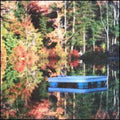 Bright: Bliss Out 12 - COMPACT DISCS