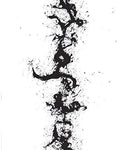 John Zorn: The True Discoveries Of Witches and Demons - CD