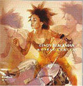 Cindy Blackman: Works on Canvas - CD