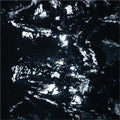 Duane Pitre: Bayou Electric - COMPACT DISCS