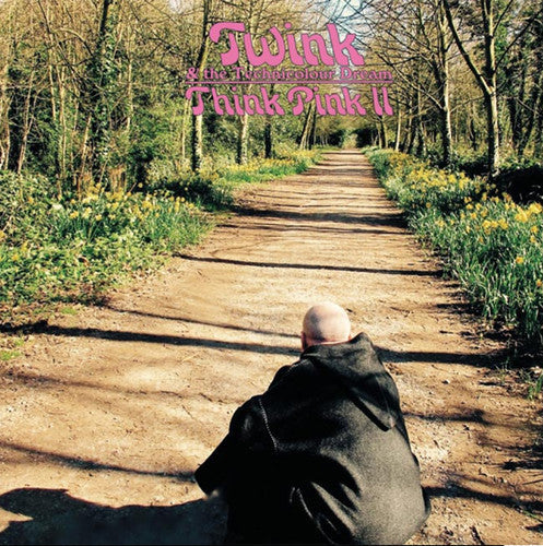 Twink and the Technicolour Dream: Think Pink II - CD