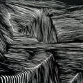 Maritime: Magnetic Bodies / Maps of Bones - CD
