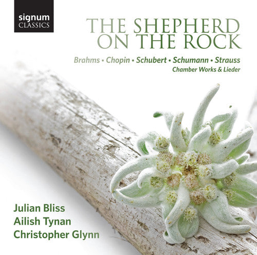 Brahms / Bliss / Tynan / Glynn: Shepherd on the Rock - Works By Brahms Chopin - CD