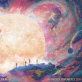 Pauw: MacRocosm Microcosm -LP