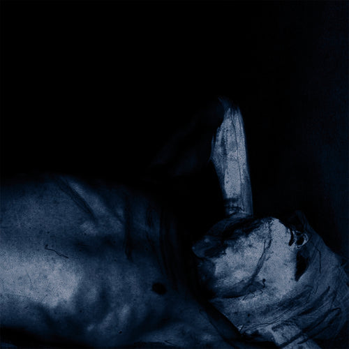Fluisteraars: Dromers - CD
